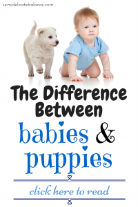 Babies and Puppies
