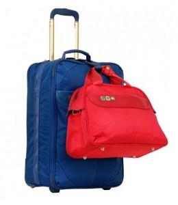 bag, purse