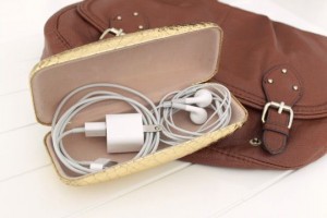 headphones, sunglass case