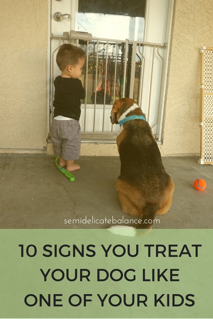 10 Signs You Treat Your Dog Like One of Your Kids