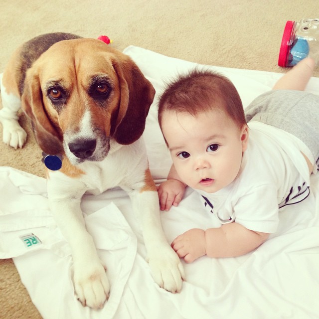 10590613_10100888771282266_1806755224077602616_n