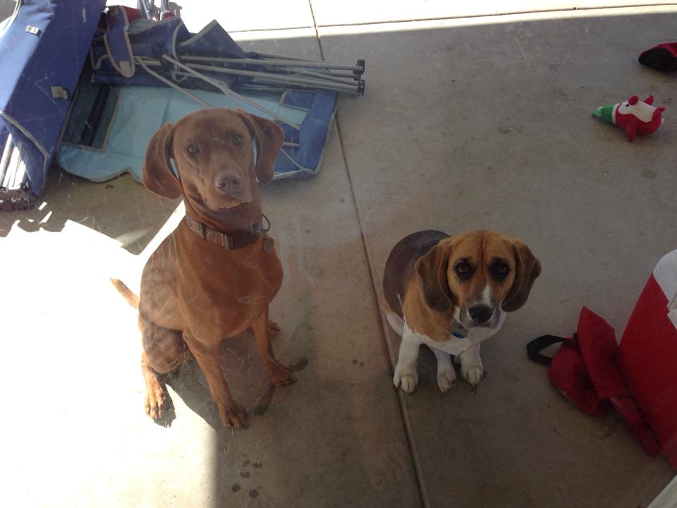 557821_10100718081920116_649308357_n