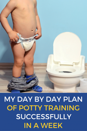 A Day by Day Breakdown of Potty Training Successfully in a Week