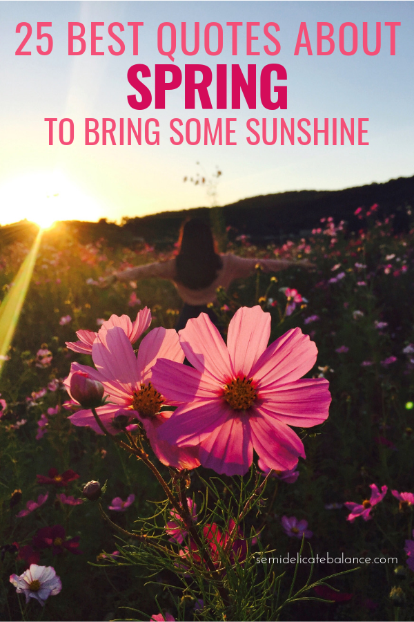 25 Best Quotes About Spring To Bring Some Sunshine To Your Life #springquotes #springcaptions #quoteaboutspring #springtime