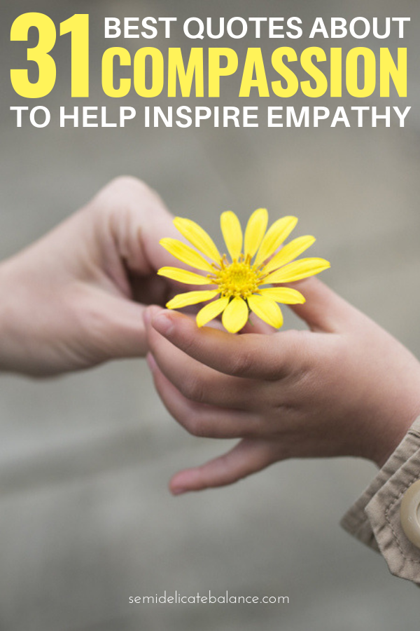 31 Best Compassion Quotes To Inspire Empathy In Yourself And Others #compassion #empathy #compassionquotes #quote #quotes #qotd #compassionate
